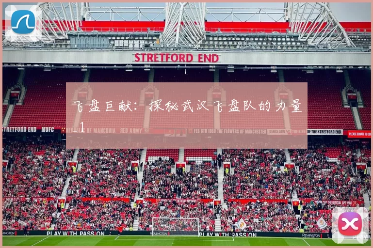 飞盘巨献：探秘武汉飞盘队的力量_1