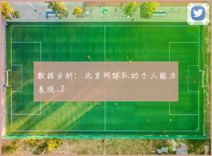 数据分析：北京网球队的个人能力表现_2