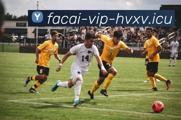 MK体育平台生态图